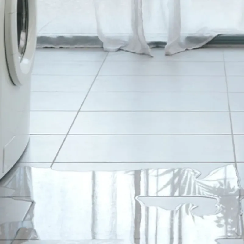 Appliance Leak Cleanup in North Brooksville, FL
