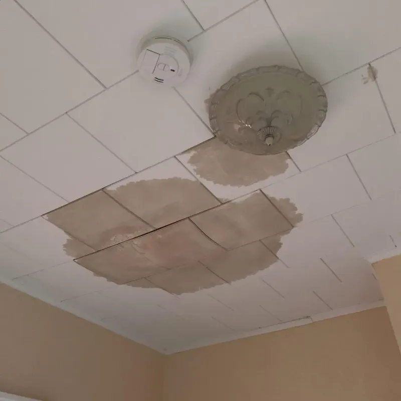 Ceiling Water Damage Repair in North Brooksville, FL