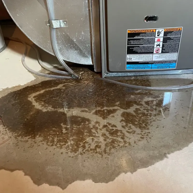 Pipe Burst and Leak Restoration in North Brooksville, FL